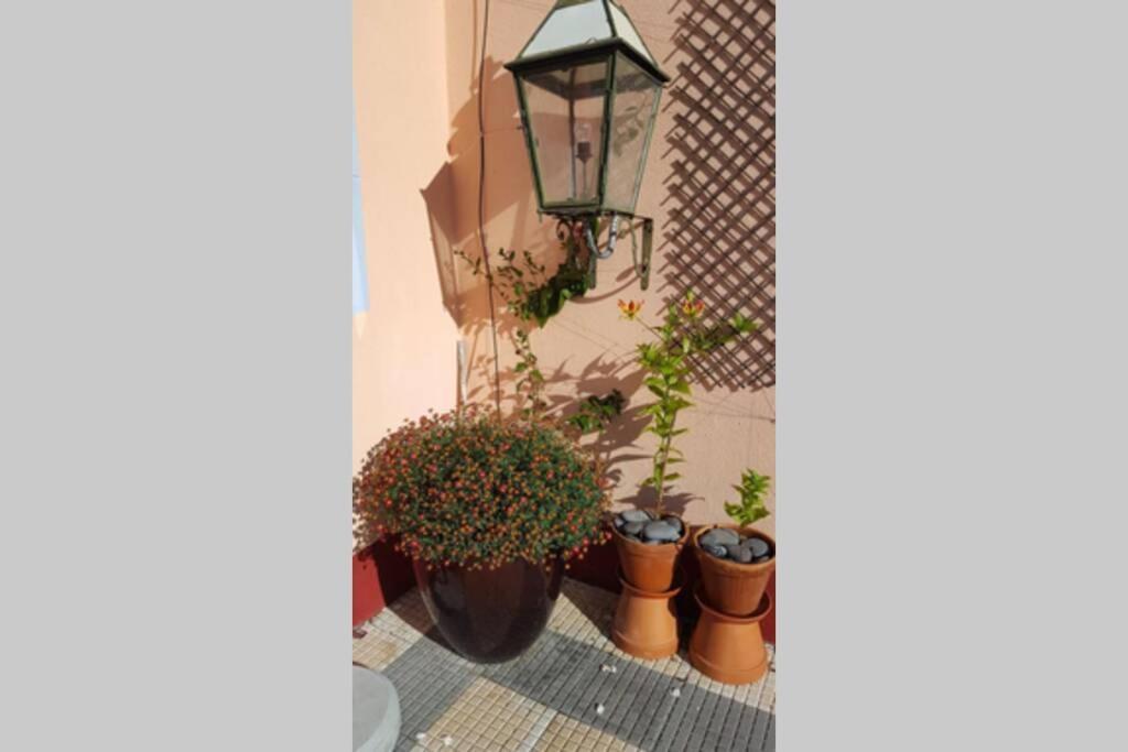 Raposeira De Sao Joao, The Feeling Of Peace, Space And Quiet, Whole Villa Is Yours Fajã da Ovelha Esterno foto