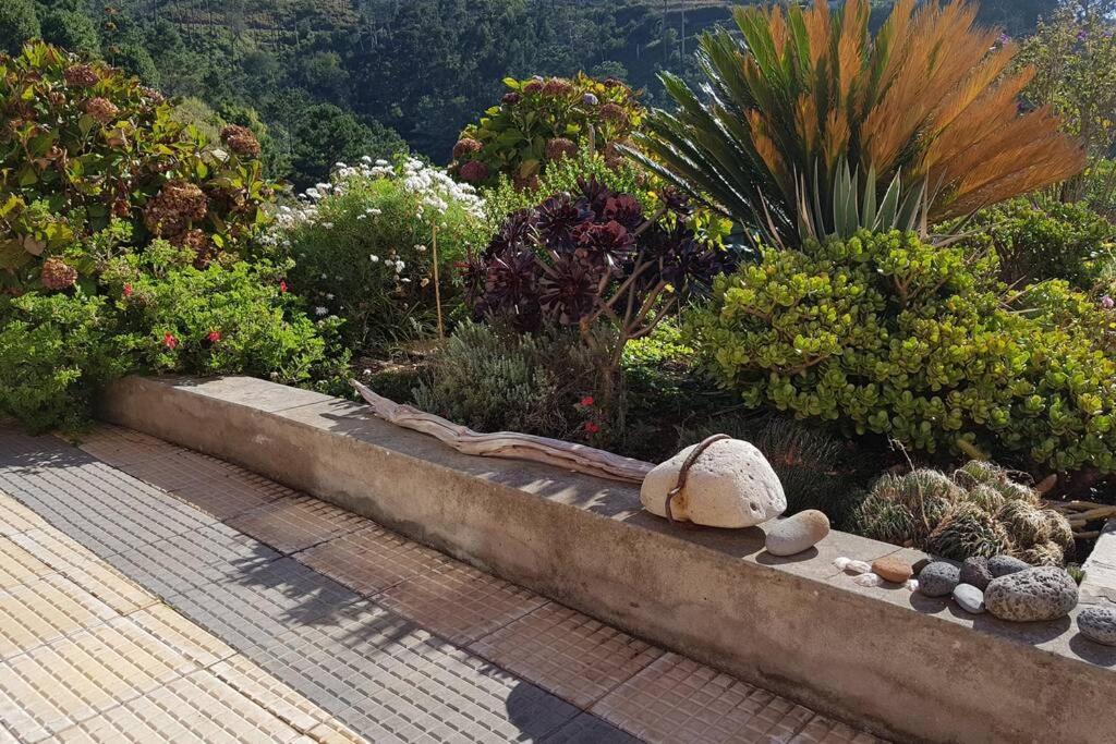 Raposeira De Sao Joao, The Feeling Of Peace, Space And Quiet, Whole Villa Is Yours Fajã da Ovelha Esterno foto