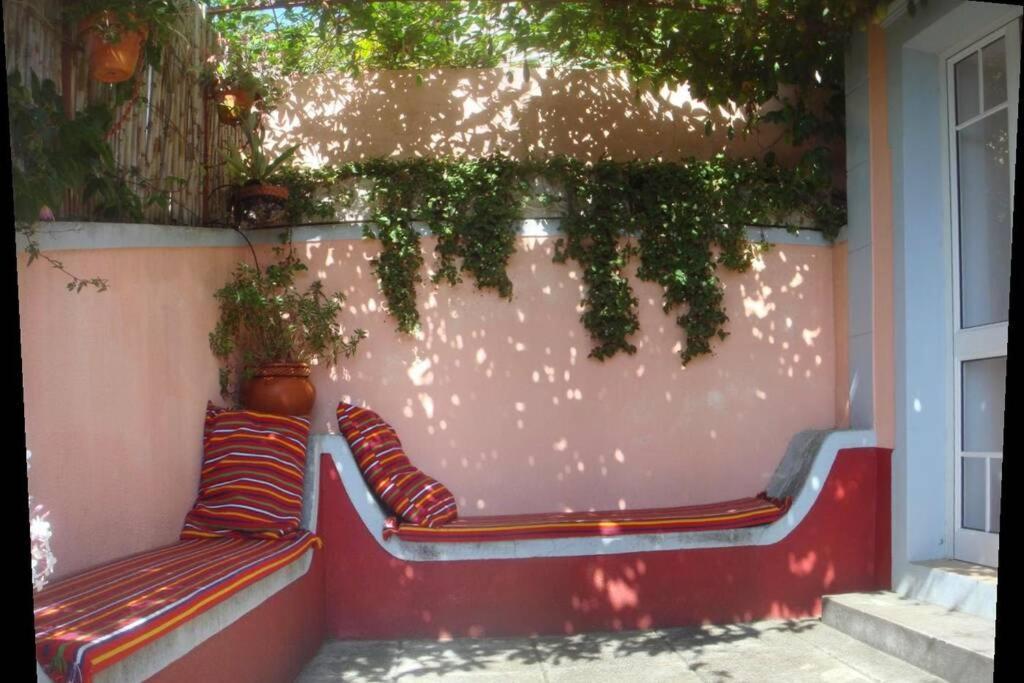 Raposeira De Sao Joao, The Feeling Of Peace, Space And Quiet, Whole Villa Is Yours Fajã da Ovelha Esterno foto