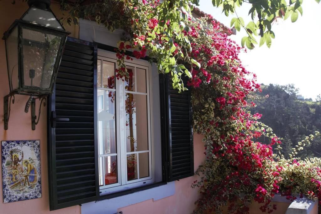 Raposeira De Sao Joao, The Feeling Of Peace, Space And Quiet, Whole Villa Is Yours Fajã da Ovelha Esterno foto