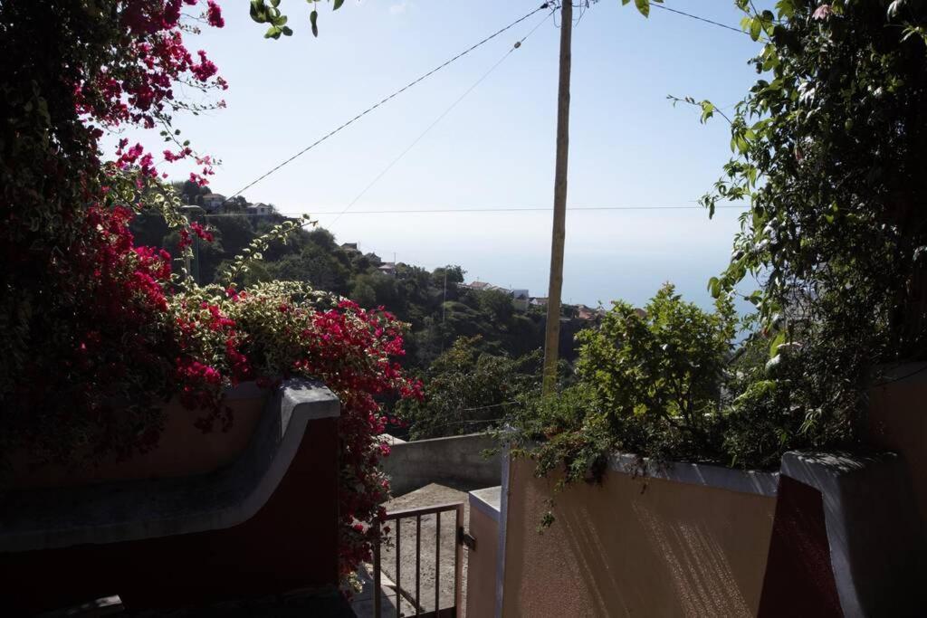 Raposeira De Sao Joao, The Feeling Of Peace, Space And Quiet, Whole Villa Is Yours Fajã da Ovelha Esterno foto