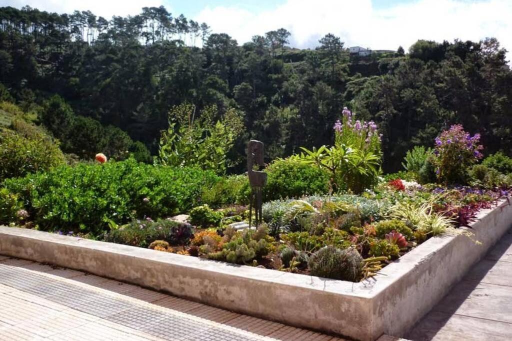 Raposeira De Sao Joao, The Feeling Of Peace, Space And Quiet, Whole Villa Is Yours Fajã da Ovelha Esterno foto